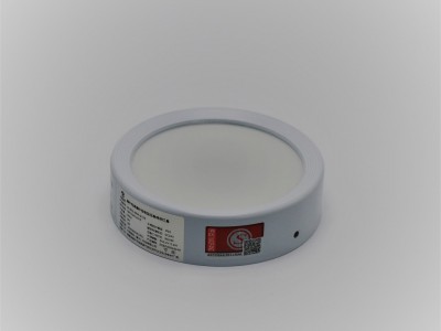 中消智联ZX-ZFJC-E3W-Q120 应急照明灯