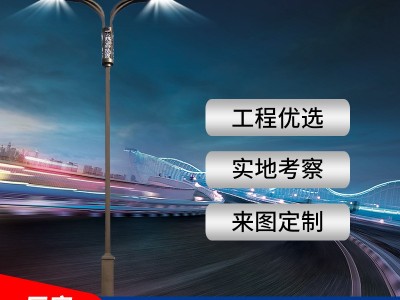 龙泽厂家批发6米30W双臂照明道路灯 新农村市政工程一体化LED路灯