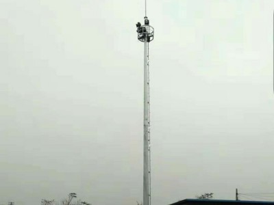 志择 厂家生产 照明灯塔 投光灯塔 广场灯塔