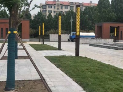 凉山户外照明led路灯多种规格 天津户外照明道路路灯厂家