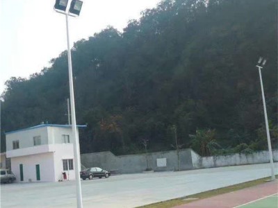 百色田东led球场照明灯丨景观灯杆厂家