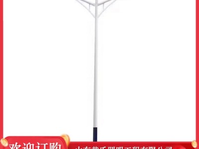 黄氏照明 太阳能路灯批发 城市乡村户外照明