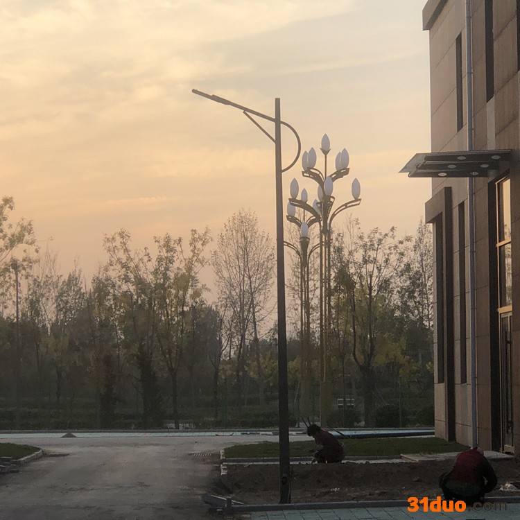 极之光3米-12米道路路灯 户外照明道路灯厂家报价