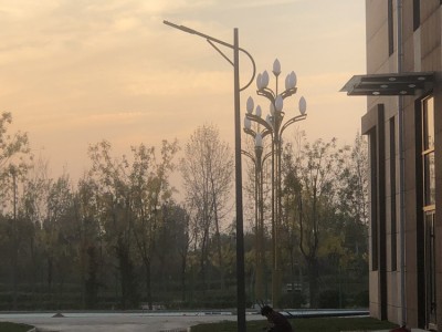 极之光3米-12米道路路灯 户外照明道路灯厂家报价