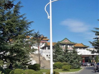 广东节能路灯太阳能路灯道路灯户外新农村公路庭院照明户外照明灯