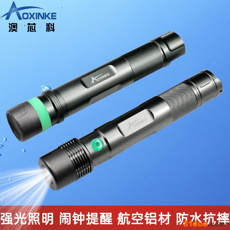 照明巡更机LED强光手电巡更棒巡更系统巡检巡查仪器AP100/AP100L