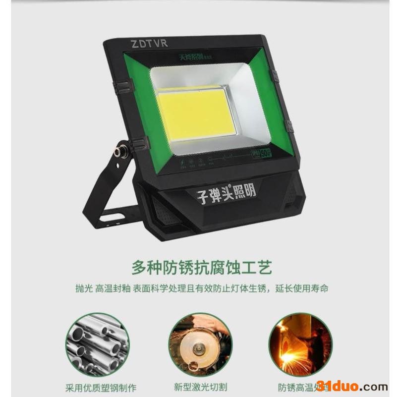 ZDTVR照明天斧系列投光灯100W