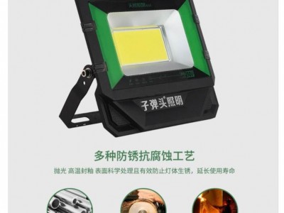 ZDTVR照明天斧系列投光灯100W