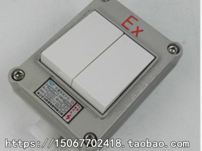 SWB-10A防爆照明开关一开二开三开防爆灯具照明开关墙壁安装