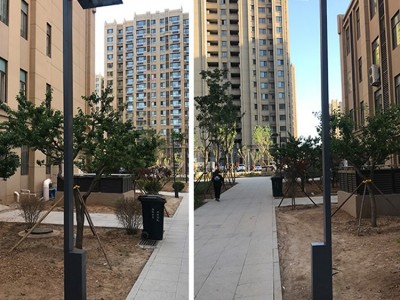 曹县新农村户外照明led路灯款式及价格 费县新农村户外照明led路灯厂家直供