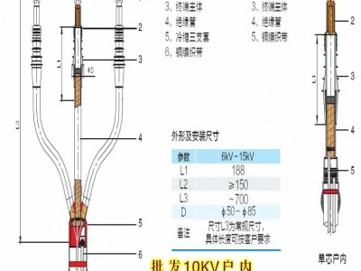 湖南长缆电工 10kV电缆户内冷缩电缆终端头3X185 含铜鼻子 包