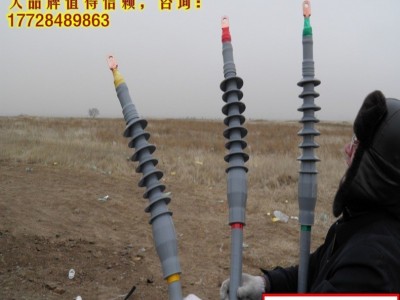10kV~35KV湖南长沙长缆电工电缆终端头，户内