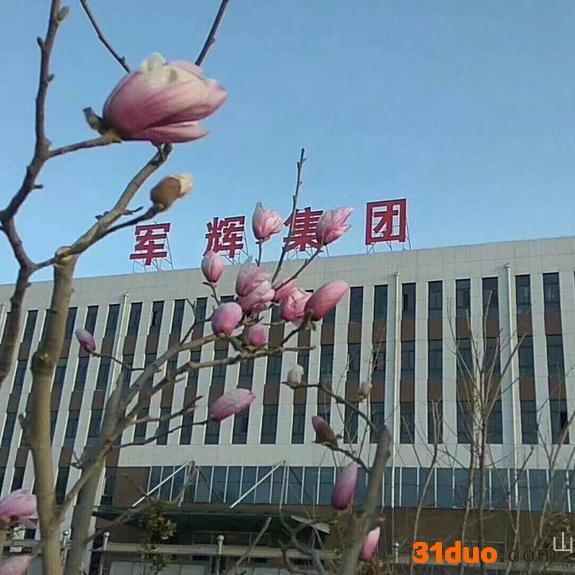 机电工程总承包一级资质，山东军辉建设集团有限公司，机电工程一级资质