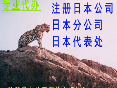 注册日本公司/日本分公司注册/日本代表处注册/日本公司注册