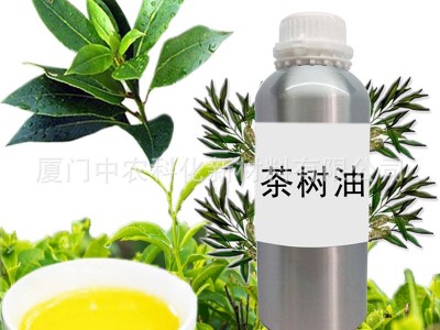 中农科化供应茶树油 茶树精油  调香护肤 植物单方精油批发  量大价优 欢迎来电咨询