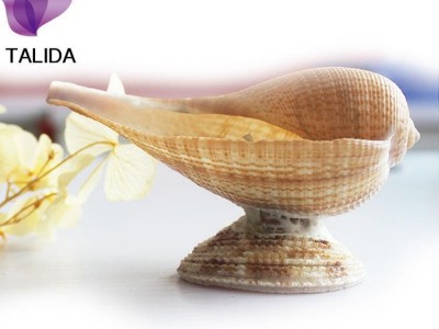 ,厂家批发 滋润保湿护肤 节日礼品时尚家居摆件 香薰按摩贝壳蜡烛