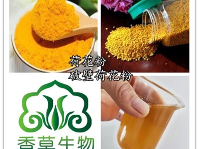 破壁荷花粉护肤品添加 香草生物供应荷花原粉全粉120目 荷花破壁粉破壁率97%