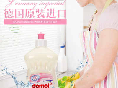 Domol 防敏护肤洗碗液500ml（家居清洁洗涤产品）