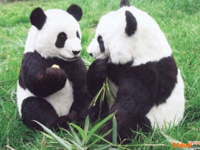 慧聪网**供货商 仿真动物 艺景雕塑 价格电议