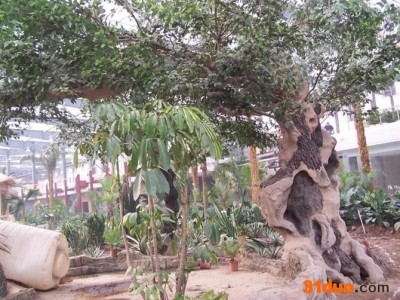 慧聪网**供货商 艺景雕塑 假山假树 价格电议