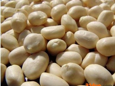 供应 慧聪网**供应商 脱皮花生米  价格电议