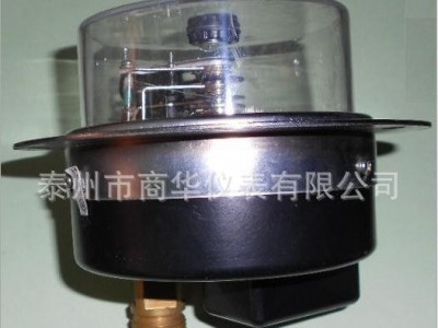 YXC-150ZT轴向带边电接点压力表 6~60Mpa  商