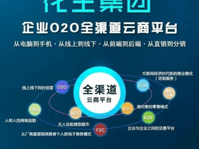 广东跨境电商现有跨境电商优劣分析