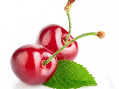 供应 **供货商  樱桃苗   多种品种  价格电议