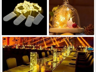 电商爆款2米20LED暖白灯串 纽扣电池盒铜线灯圣诞装饰发光灯串