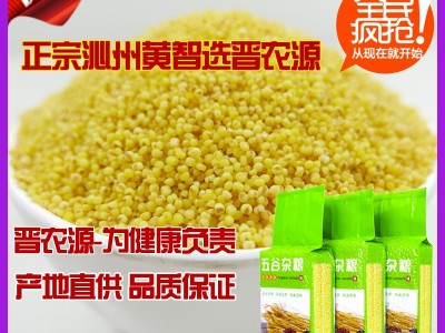 晋农源优选沁州黄小米电商货源多等级供货货源稳质量足大宗批发更省钱地头价格