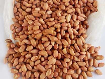 **供货商  宝军花生加工厂 物美价廉  鲁花花生 价格电议