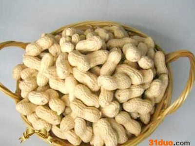 慧聪网**供货商  宝军花生  鲁花花生 价格电议