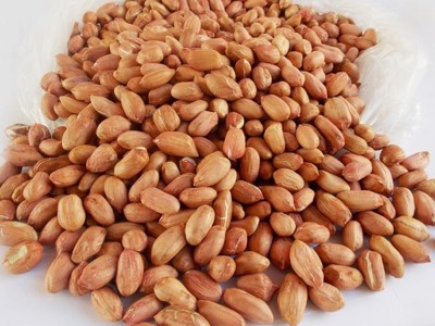 **供货商   宝军花生加工厂   脱皮花生 价格电议