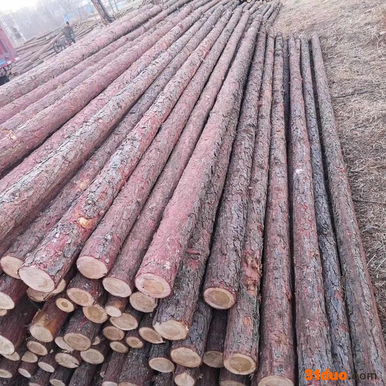 落叶松木方 沙发木方 俄罗斯松木方 松木方条