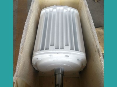 长沙长沙发电机马达  晟成500W发电机厂家供应