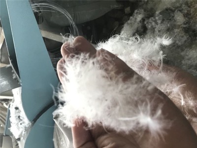 苏州鸡鸭毛粉碎机旧沙发海绵粉碎机乳胶海绵粉碎机双进料口粉碎机