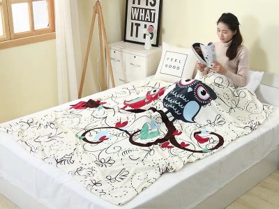 办公室午睡毯单双人沙发休闲毯空调盖毯春秋法兰绒毛毯批发