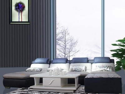 浪度家居 浪度沙发BK03902 沙发组合现代简约沙发