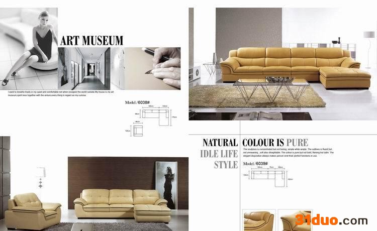 民族风/新款经典/客厅沙发/组合沙发/布艺沙发/皮沙发(6038)