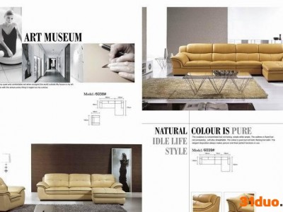 民族风/新款经典/客厅沙发/组合沙发/布艺沙发/皮沙发(6038)