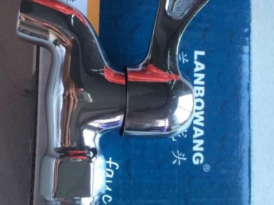 LANBOWANG不锈钢水**