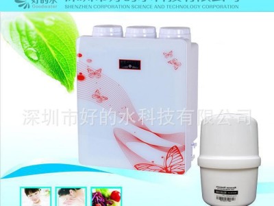 水**净水器,自来水过滤器,水**过滤器,贵港市水**净水器 家