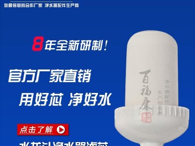 水**净水器滤芯 陶瓷滤芯 家用水**净水机滤芯 可清洗