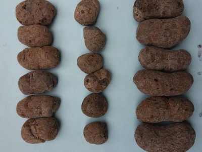 陶粒建材 1-3cm回填用陶粒 双万特生物陶粒厂家