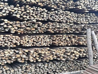 久盛建材  河南杉木批发，4米4公分杉木**  欢迎咨询订购