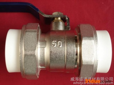 威海盛通建材有限公司冷热水用ppr管件