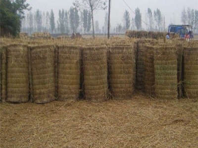 久盛建材 泰安草帘批发  保温草帘