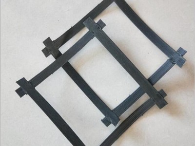 厂家生产 供应施工建材土工格栅可定制