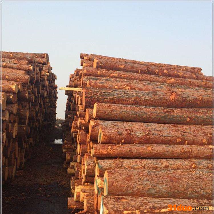 打桩木 建筑打桩木 桥梁打桩木 牧叶建材成都重庆厂家直营