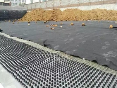 路通建材 塑料排水板  绿化排水板